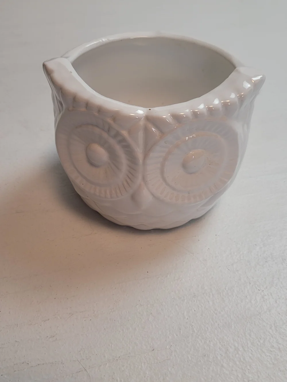 White Ceramic Owl Decorative Planter